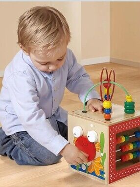 Hape Discovery Box Wooden Activity Center